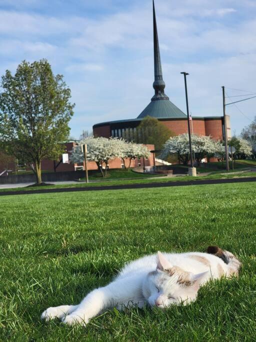 Photo of Outdoor in Columbus
