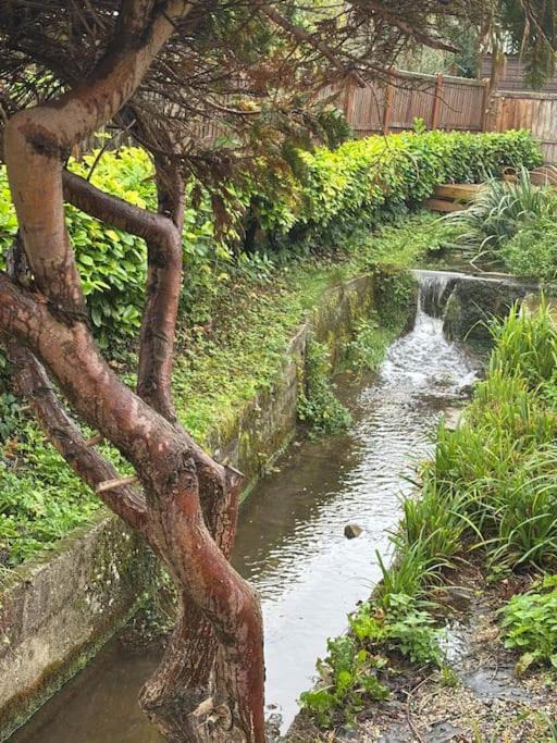 Photo of Others in Great Leighs