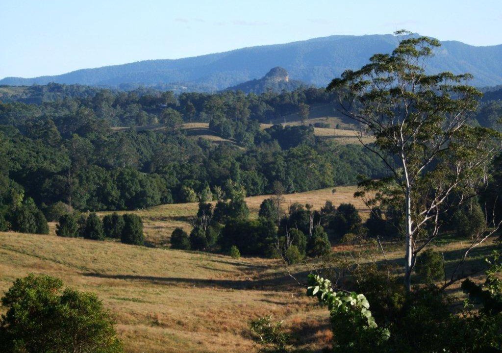 Photo of Others in Nimbin