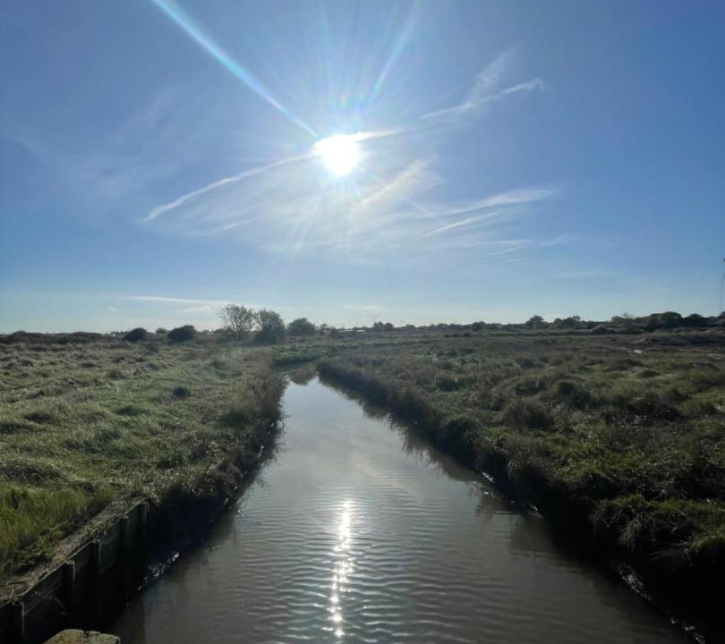 Photo of Others in Swalecliffe