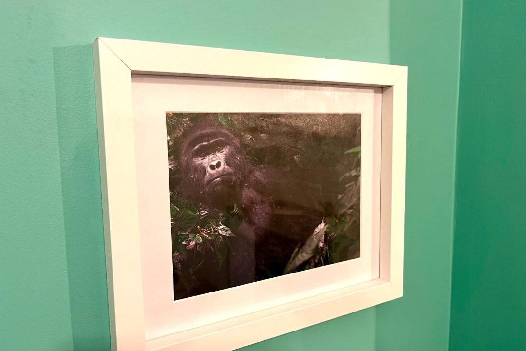 Photo of Human In Picture in Centre Ancien