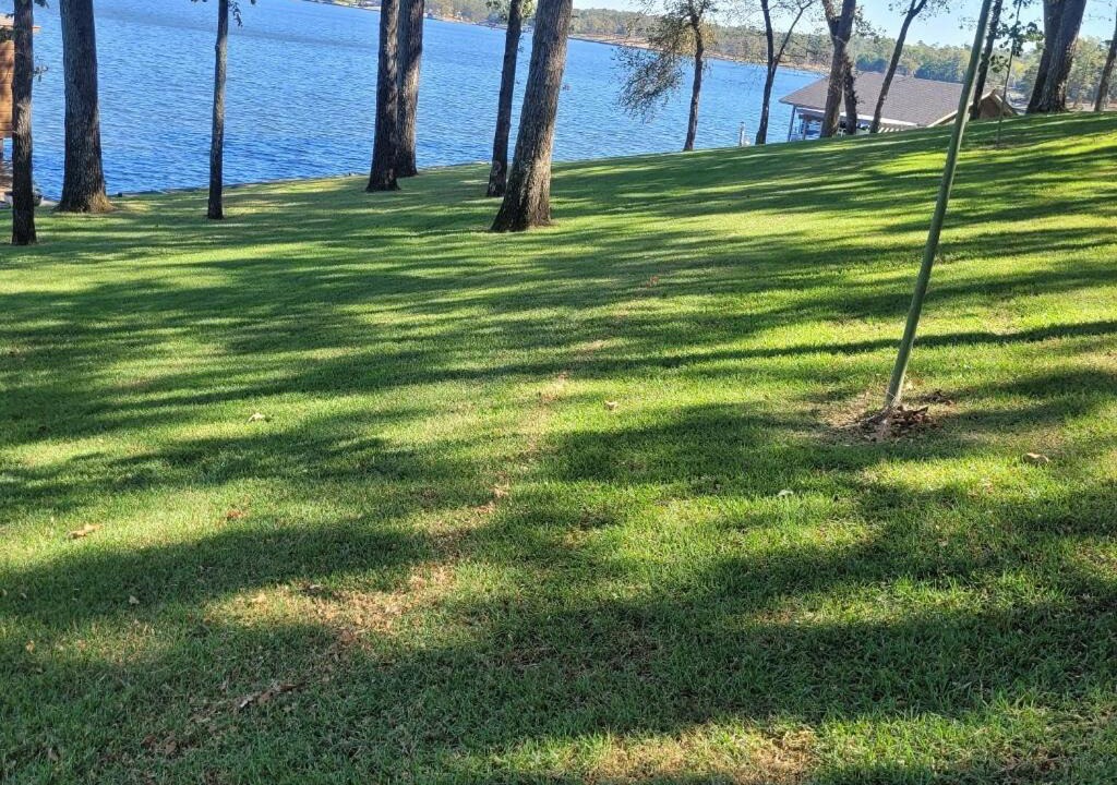 Photo of Outdoor in Dogwood