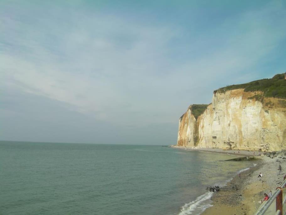 Photo of Others in Saint-Pierre-en-Port