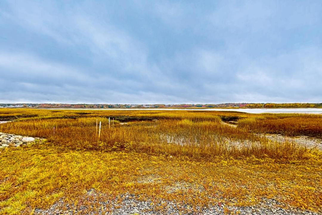 Photo of Others in Wells Beach