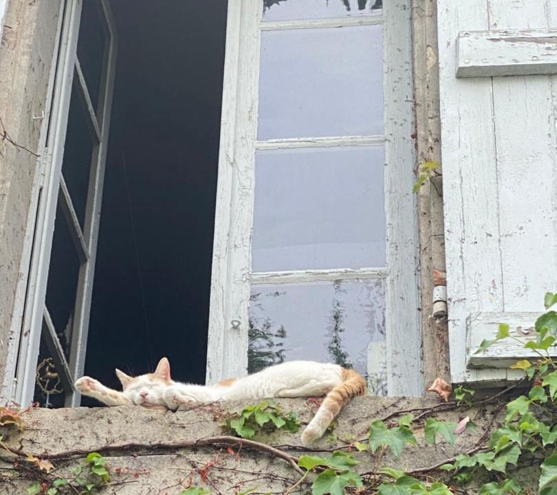 Photo of Others in Moissac