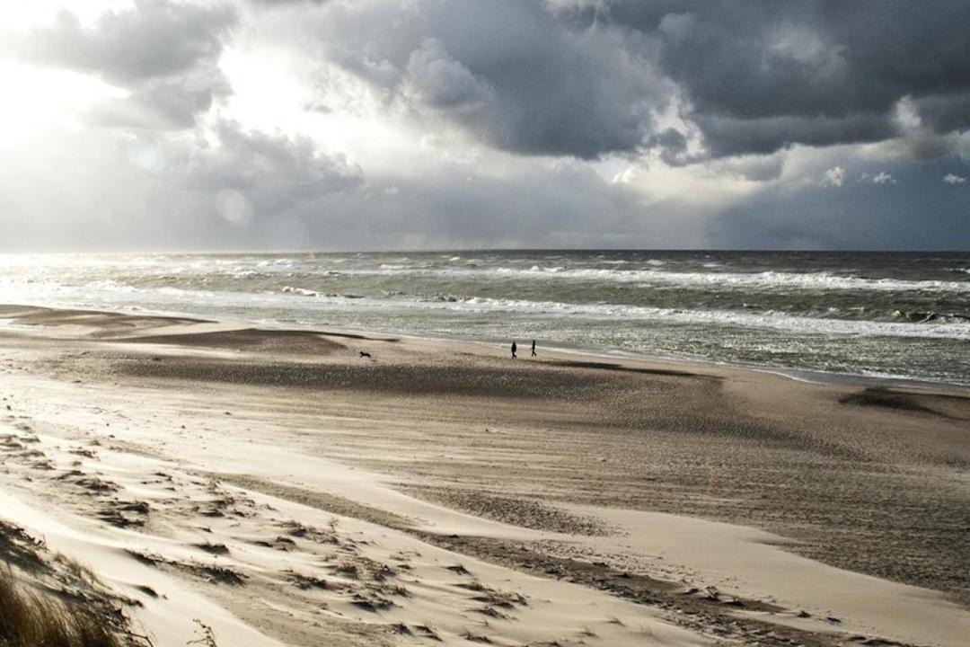 Photo of Others in Lodbjerg Hede