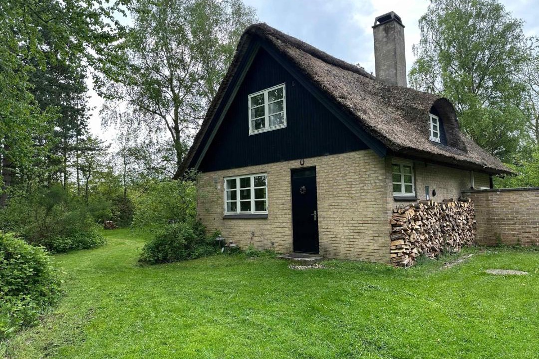 Photo of Others in Skødshoved Strand