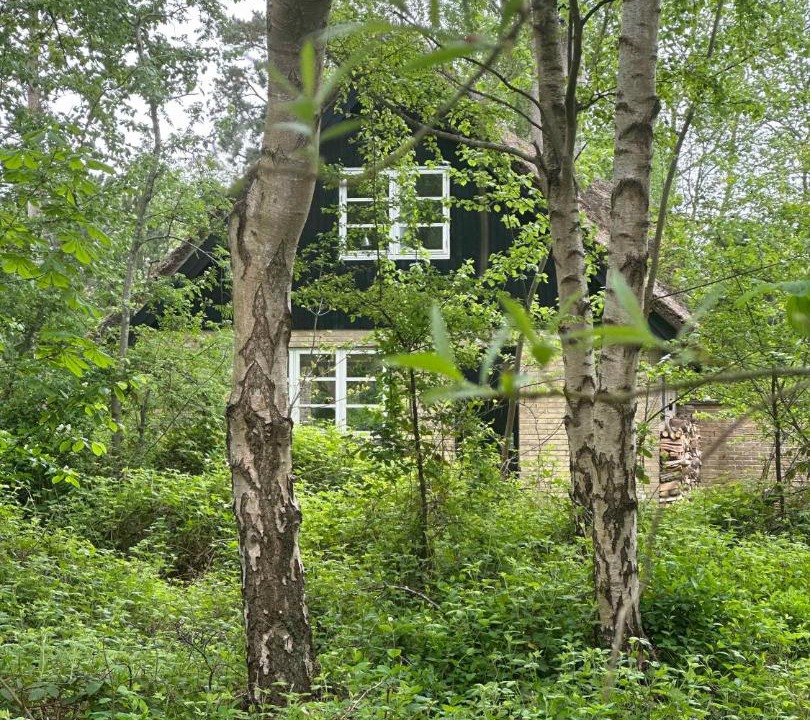 Photo of Others in Skødshoved Strand