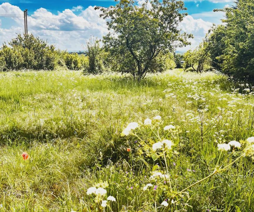 Photo of Others in Cropthorne