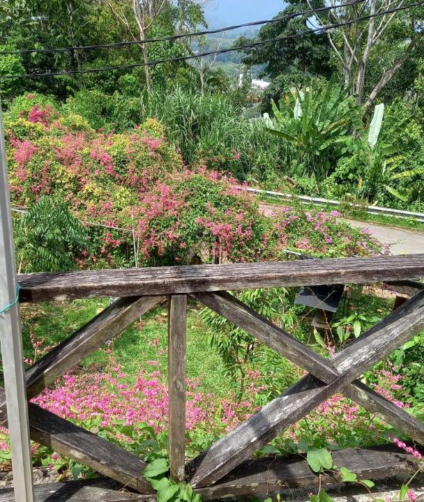 Photo of Others in Bentong