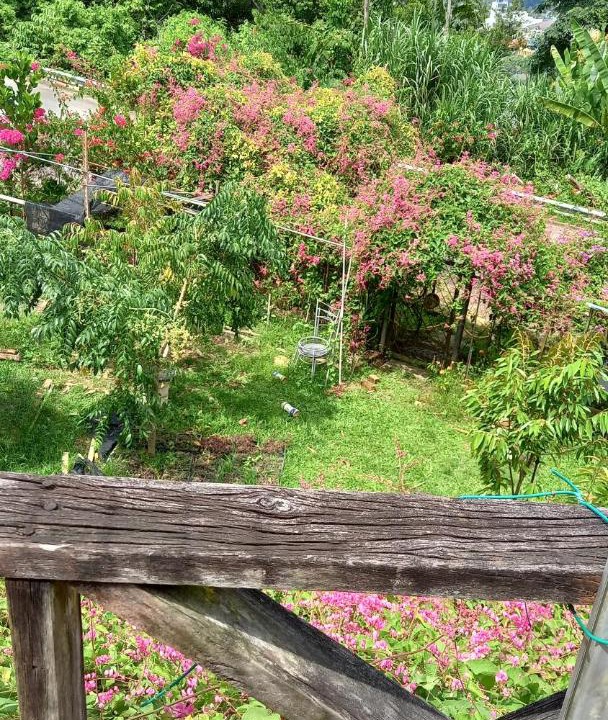 Photo of Others in Bentong