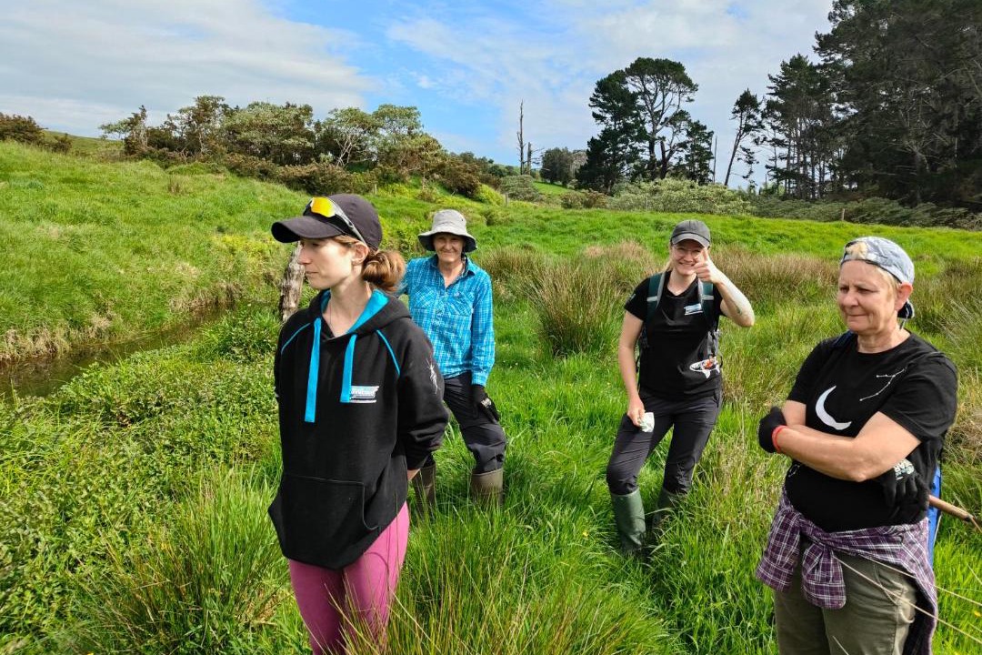 Photo of Others in Awhitu