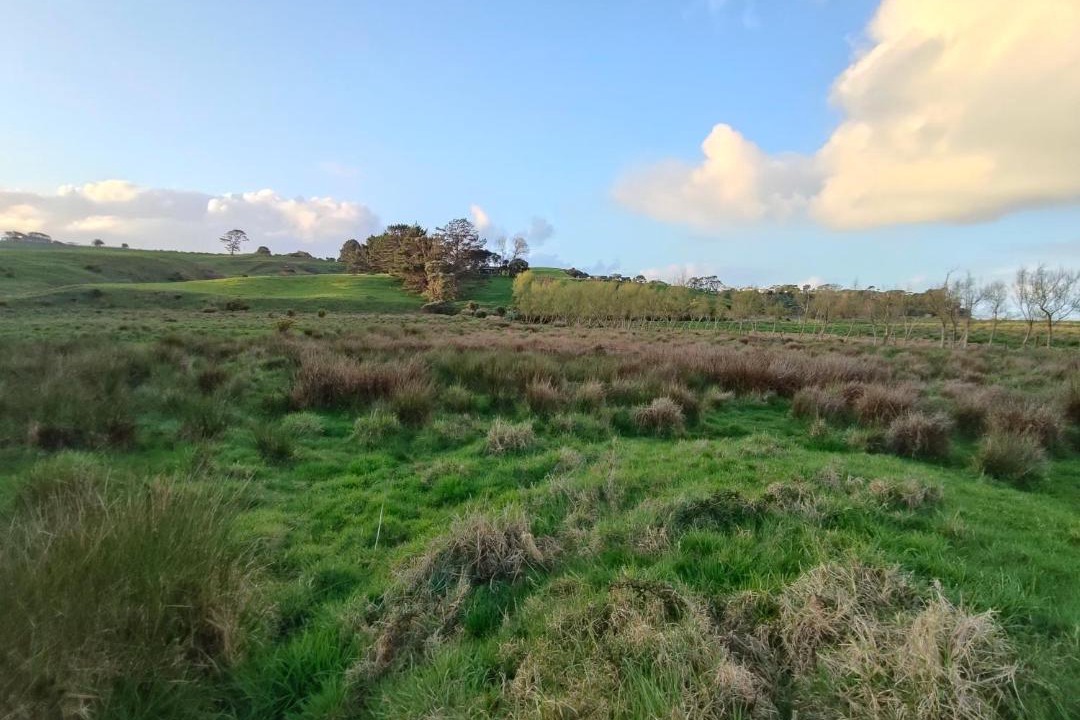 Photo of Others in Awhitu