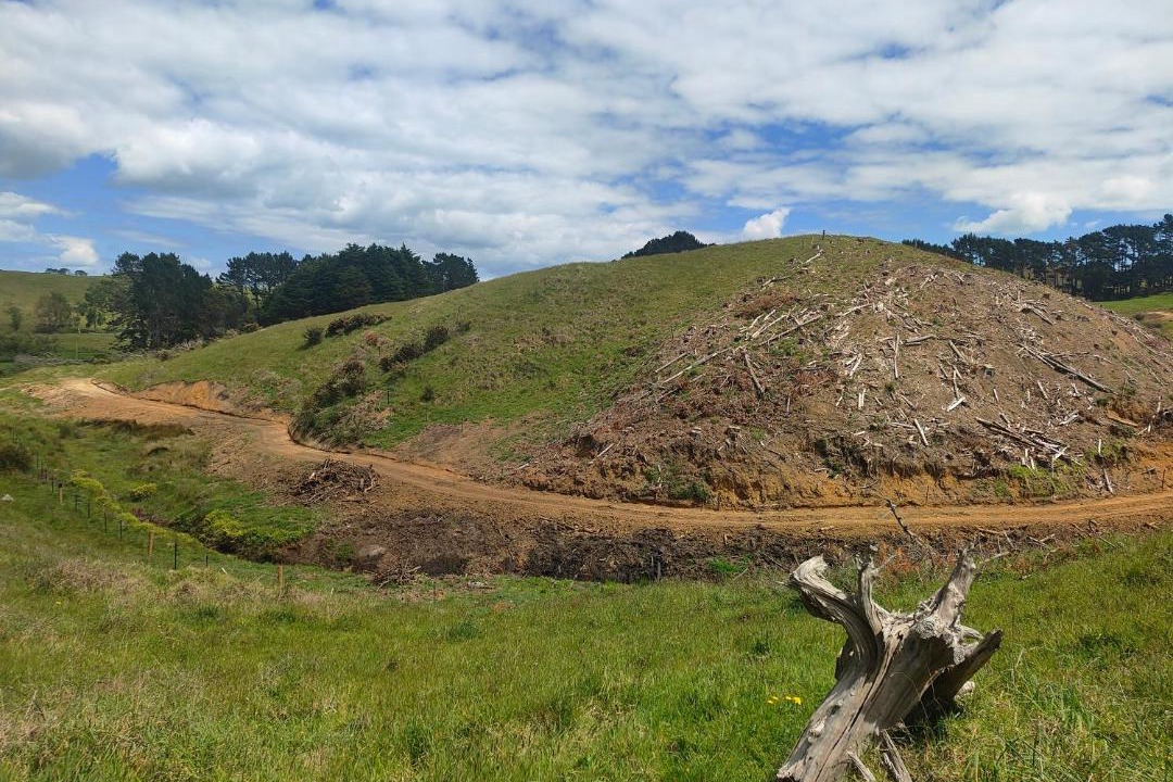 Photo of Others in Awhitu