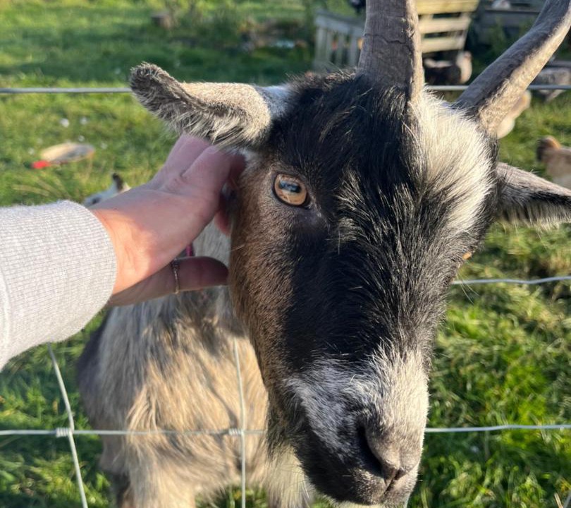 Photo of Others in Accrington