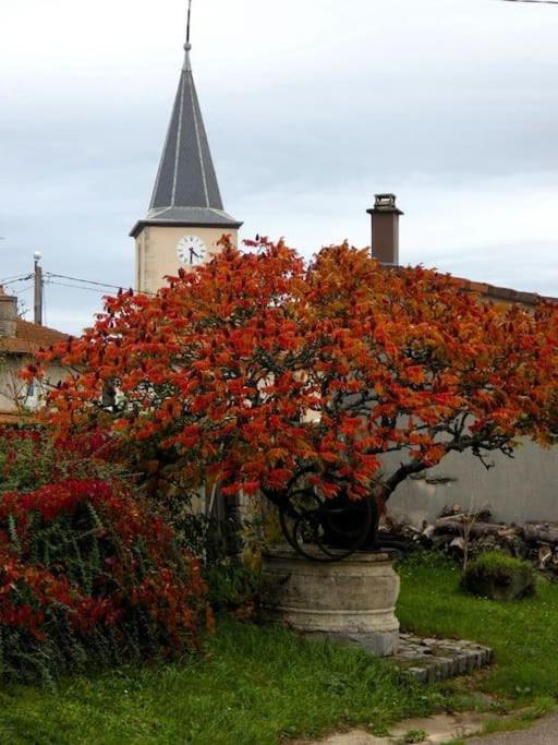 Photo of Others in Burthecourt-aux-Chenes