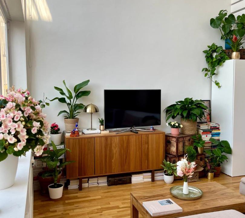Photo of Livingroom in Quartier de l'Ecole-Militaire