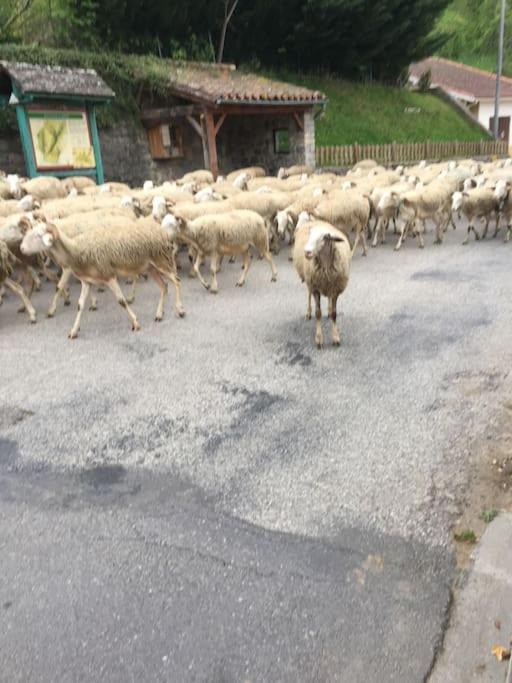 Photo of Others in Ganac