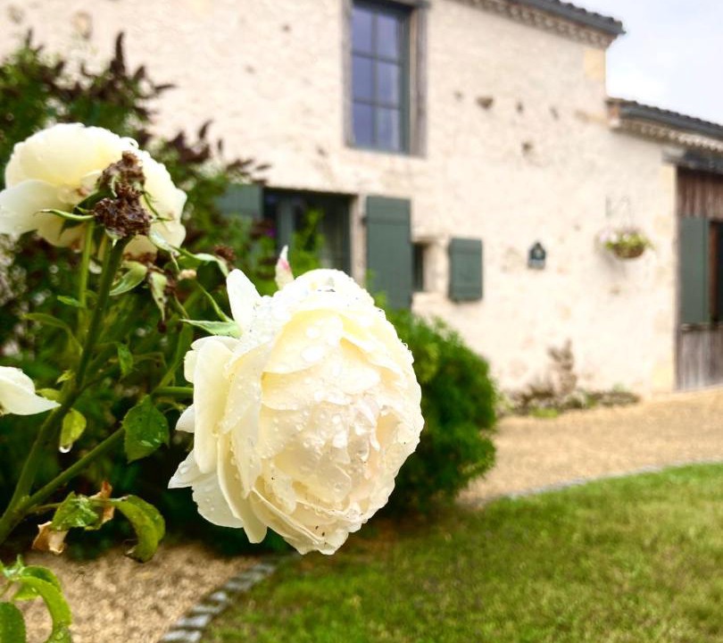 Photo of Others in Bardou