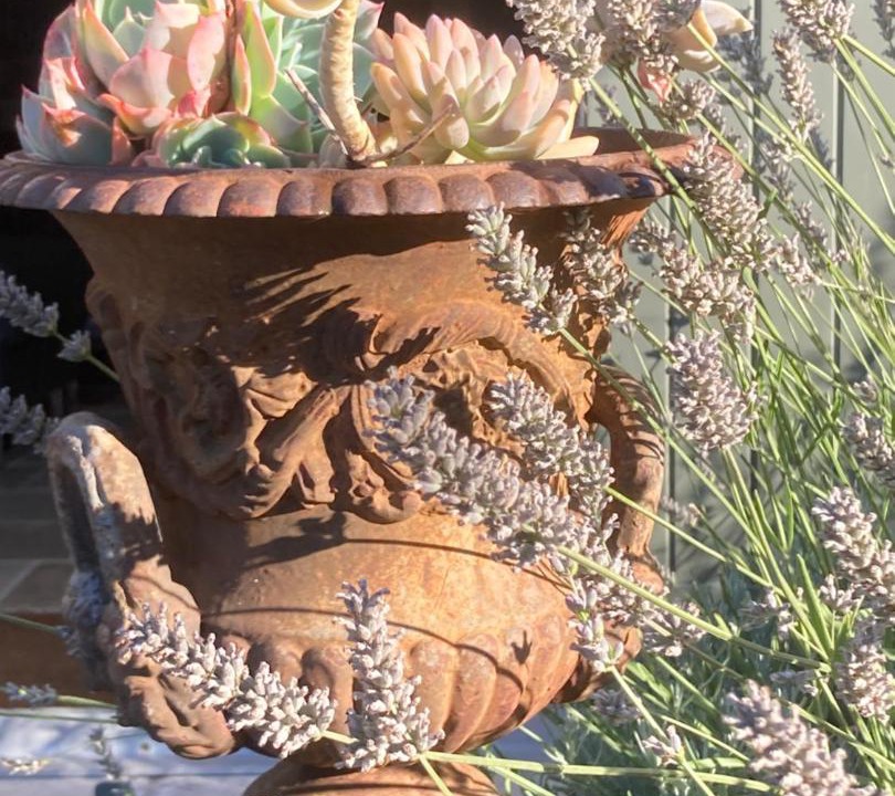 Photo of Others in Bardou