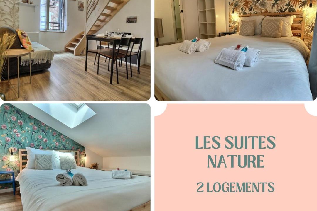 Photo of Others in Albi