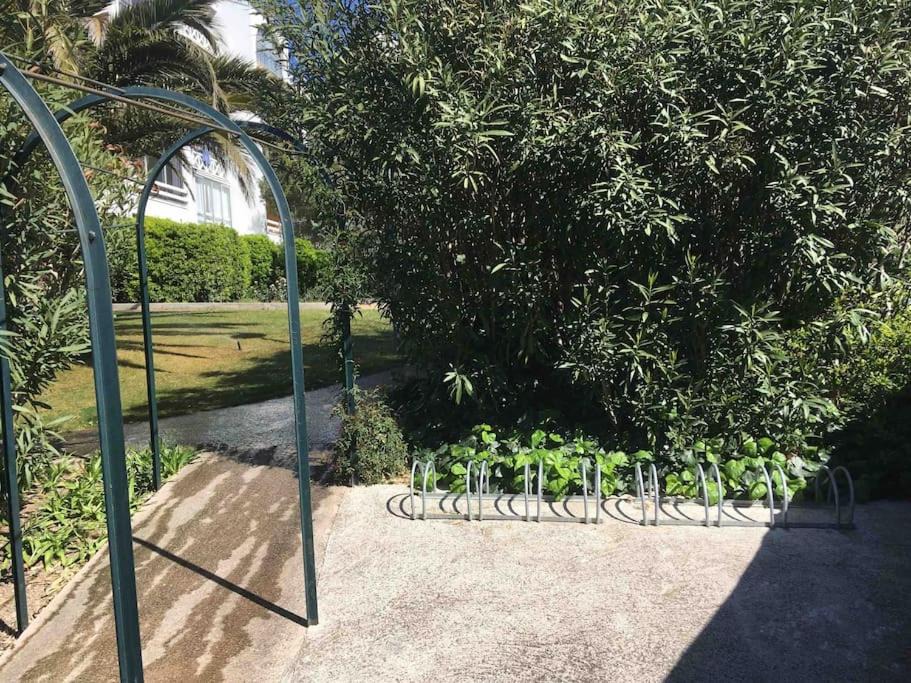 Photo of Others in Sete