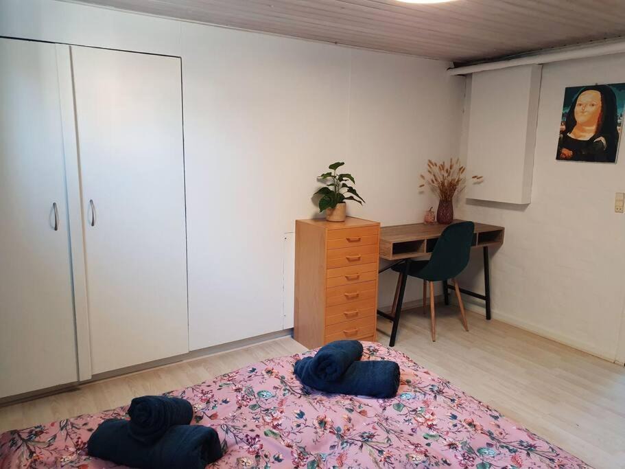Photo of Others in Hirtshals