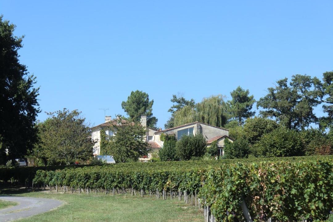 Photo of Others in Teuillac