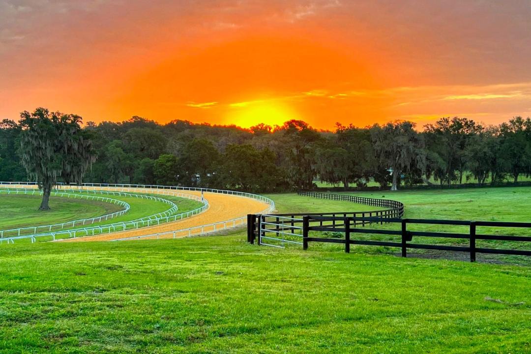 Photo of Others in Micanopy