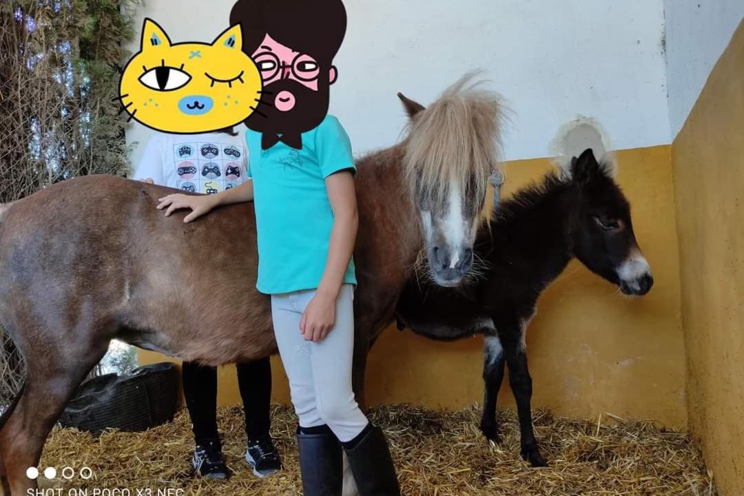 Photo of Others in Pinoso