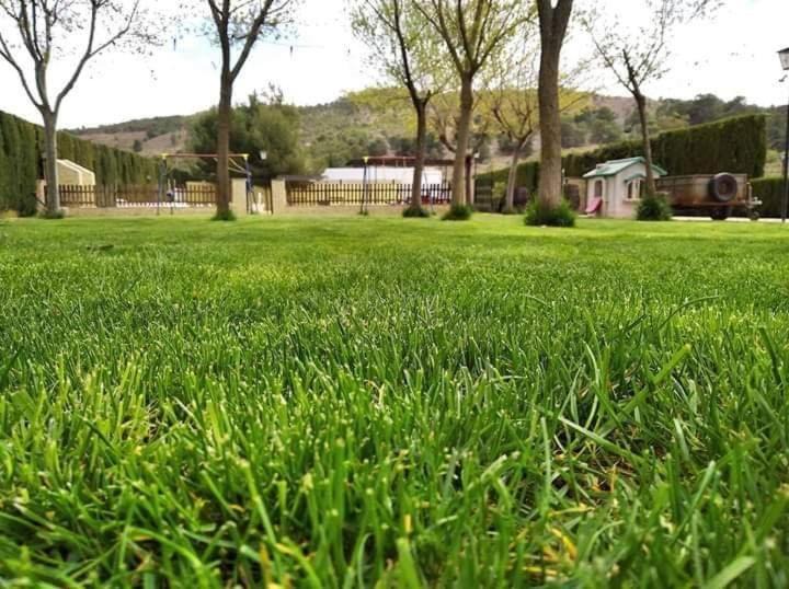 Photo of Outdoor in Pinoso