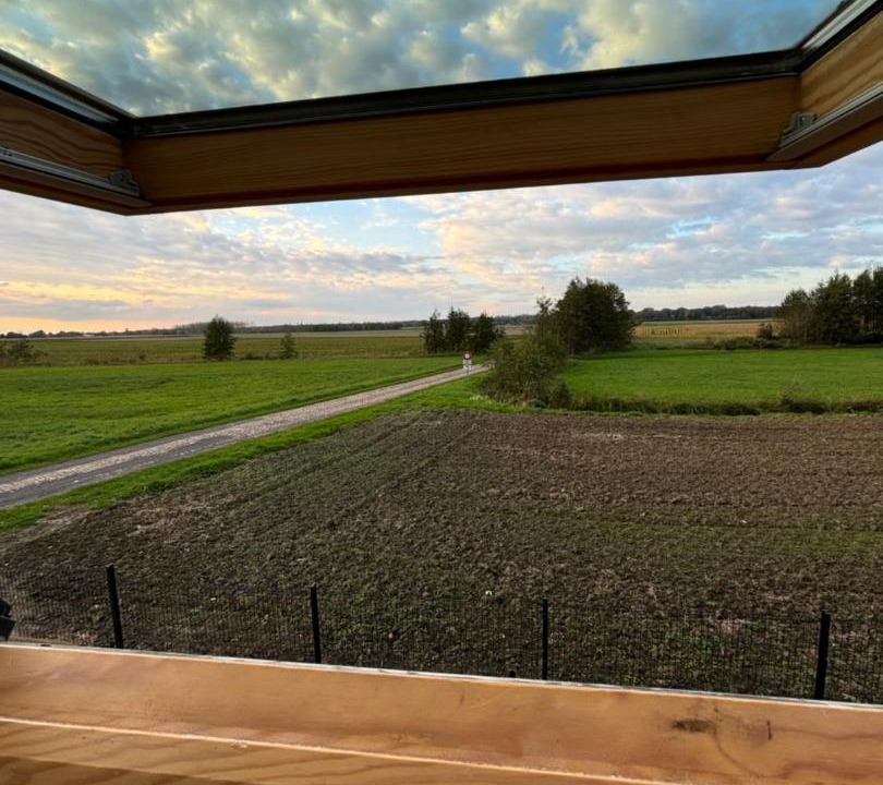 Photo of Others in Flines-lez-Raches