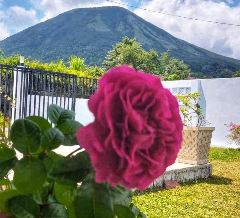 Photo of Others in Tomohon