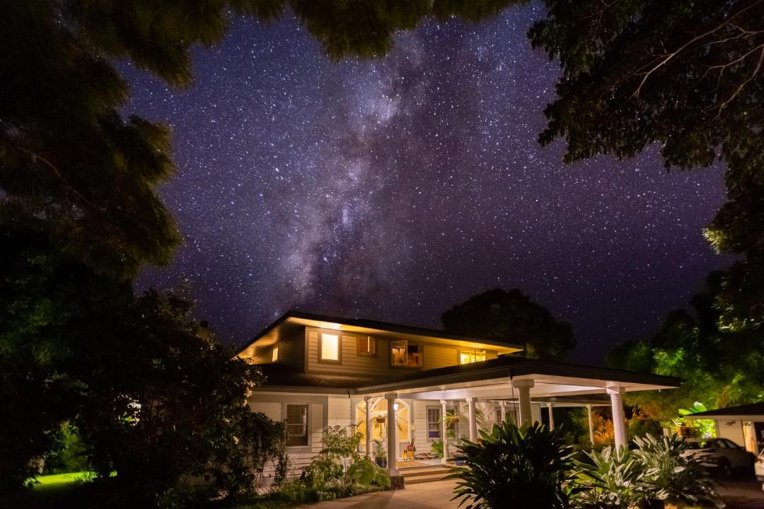 Photo of Others in Captain Cook