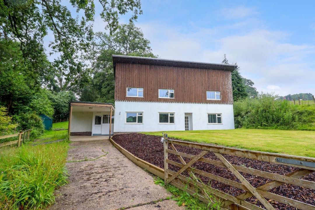 Photo of Others in Newtown