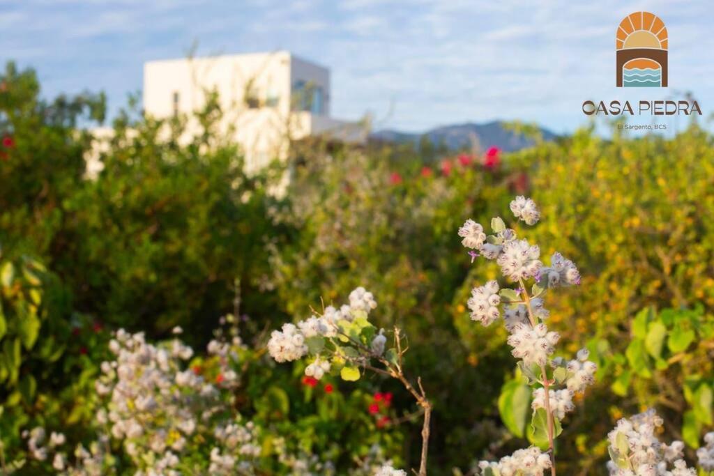 Photo of Others in El Sargento