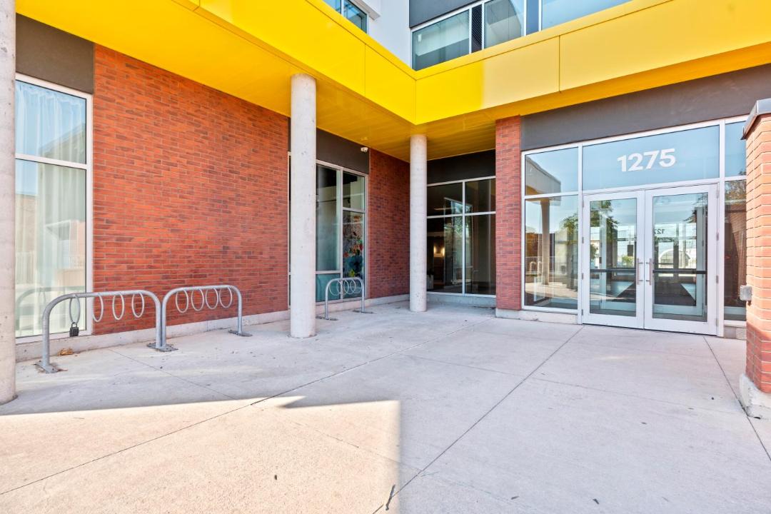 Photo of Others in York University Heights