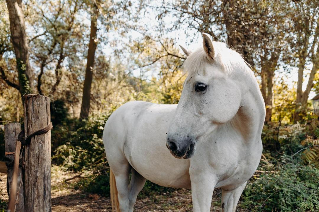 Photo of Others in Juvignac