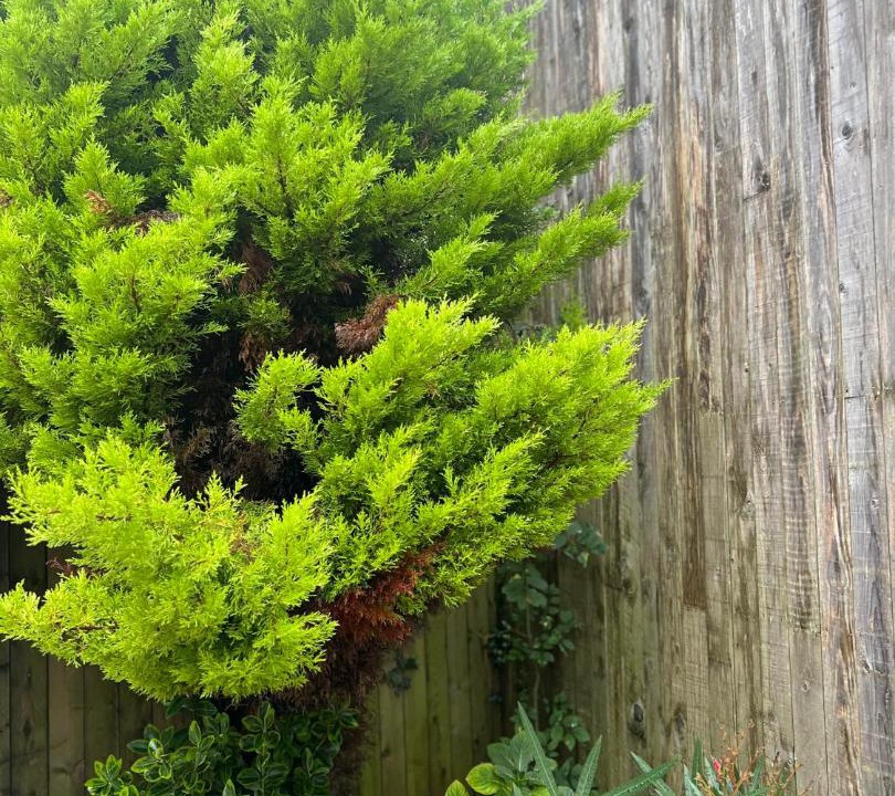 Photo of Outdoor in Wimille