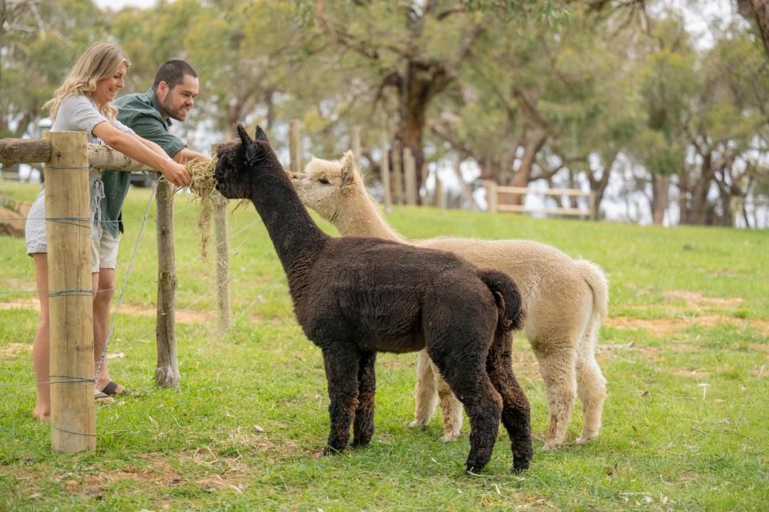 Photo of Others in Mount Jagged