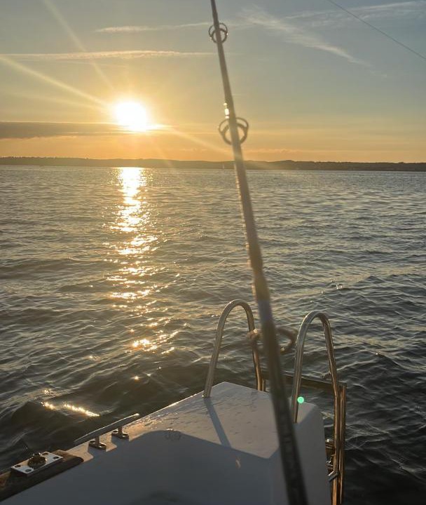 Photo of Others in Reville