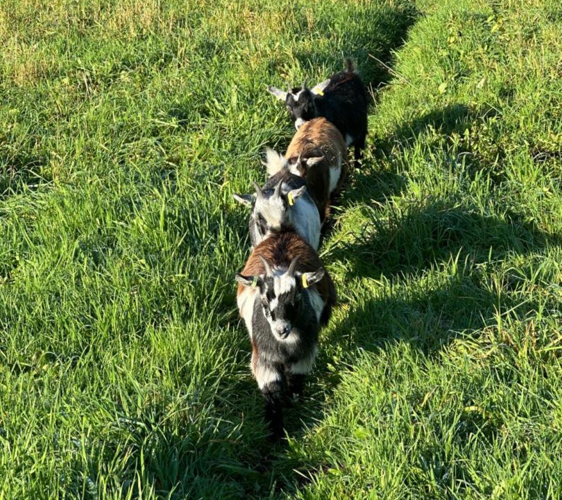 Photo of Outdoor in Newcastle-Under-Lyme