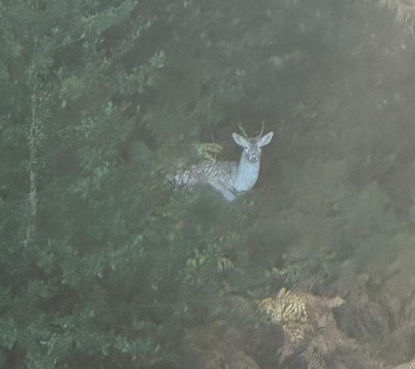 Photo of Others in Newcastle-Under-Lyme