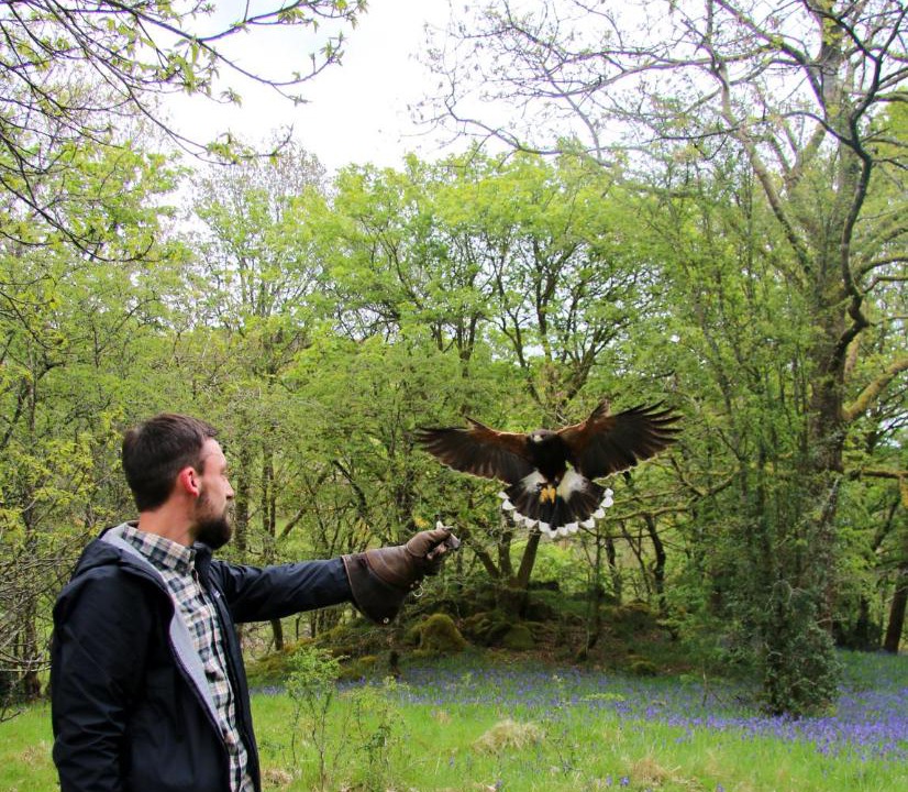 Photo of Others in Crook