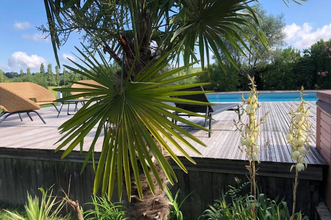 Photo of Others in Caraman