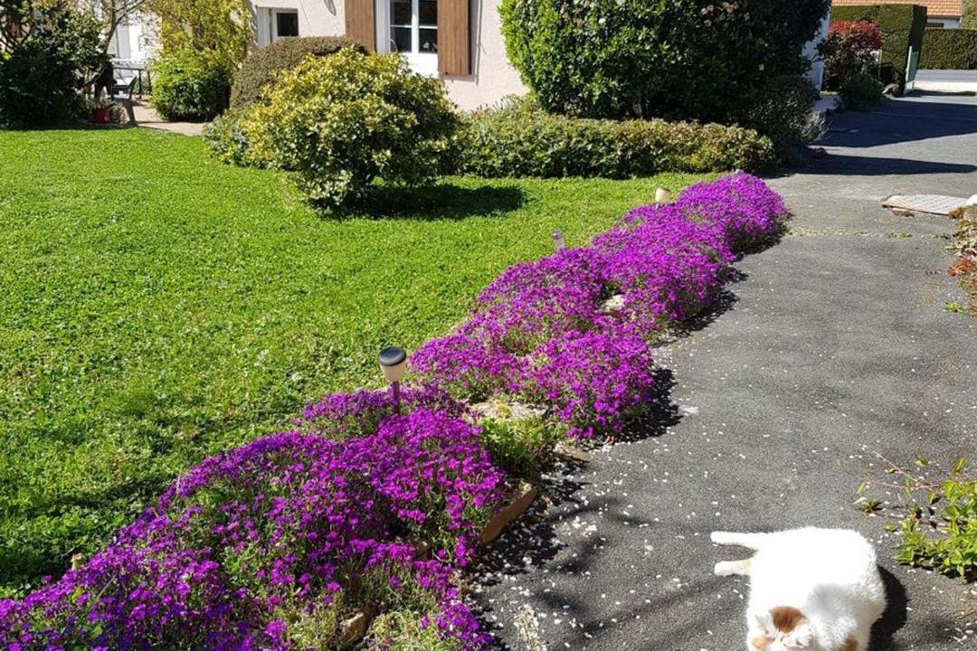 Photo of Outdoor in Chatillon-sur-Indre