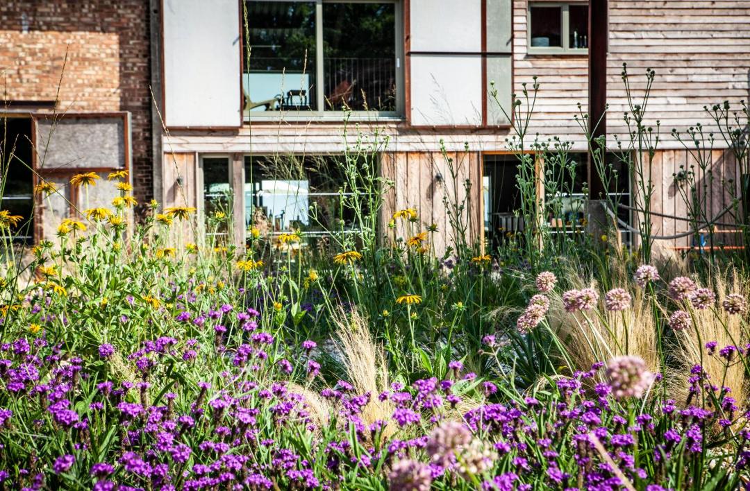 Photo of Others in Rye