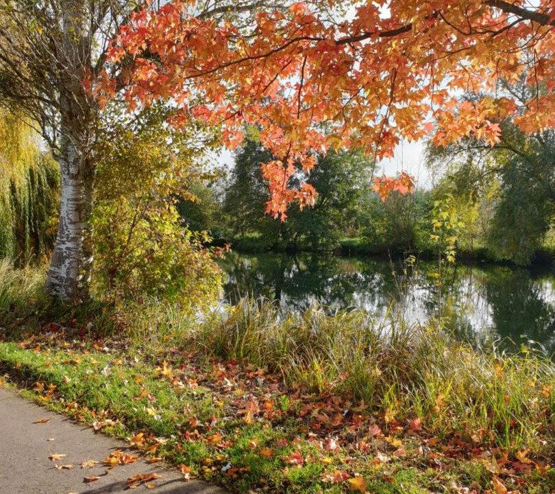 Photo of Others in Le Vaudreuil