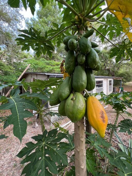 Photo of Others in Putnam Hall