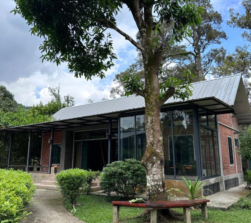 Photo of Others in Mantin